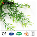 decorative artificial everygreen leaf branches for party use